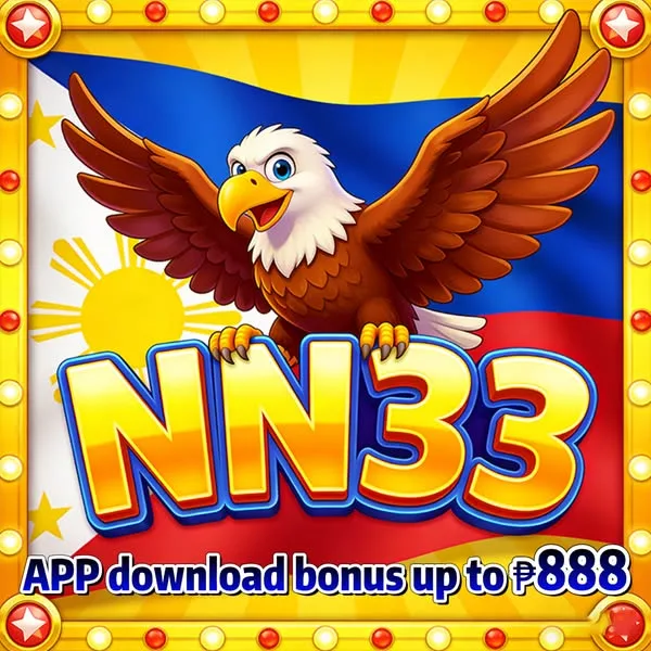 NN33